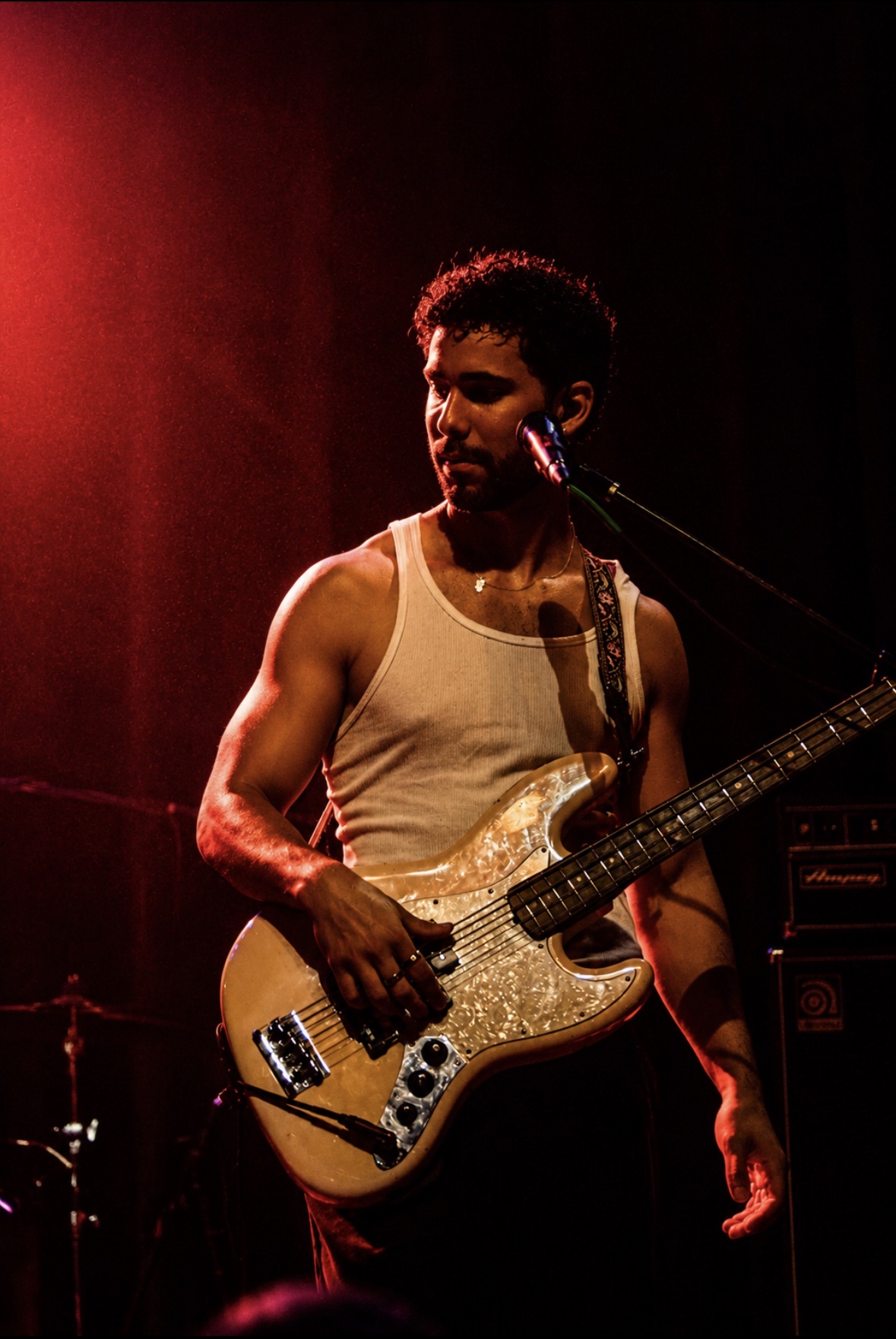Bass player illuminated by red light